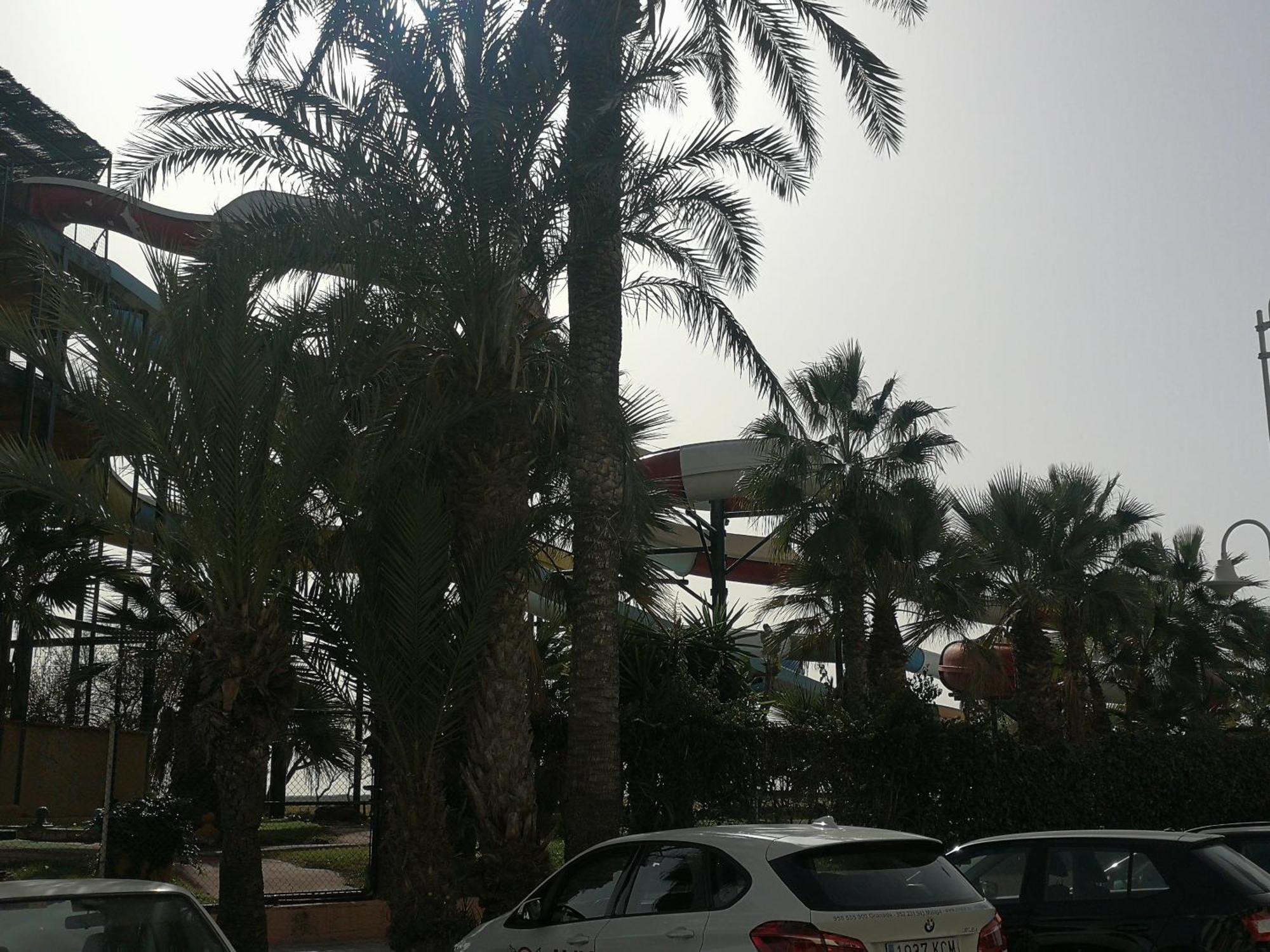 Apartamento Playa Velilla Park II Almuñécar Esterno foto
